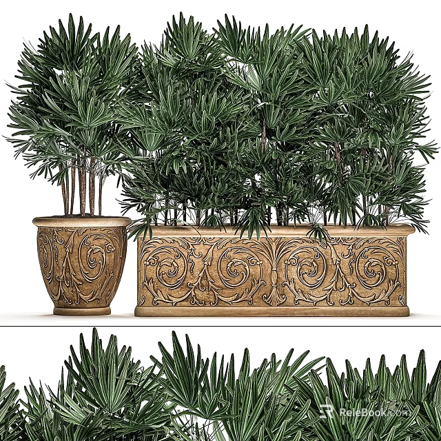 Garden Accents With Ornate Carved Planters And Lush Green Palm Plants 3d model 
