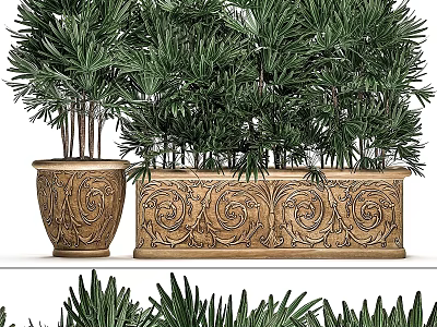 Garden Accents With Ornate Carved Planters And Lush Green Palm Plants 3d model