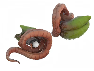 Curled Brown And Green Biological Form With Segmented Body And White Sphere 3d model