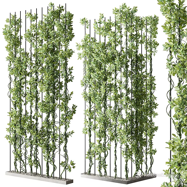 Lush Vertical Living Green Plant Wall With Trailing Vines And Dense Foliage 3d model 