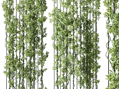 Lush Vertical Living Green Plant Wall With Trailing Vines And Dense Foliage 3d model