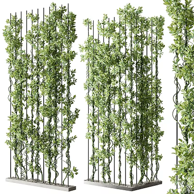 Lush Vertical Living Green Plant Wall With Trailing Vines And Dense Foliage 3d model Lush Vertical Living Green Plant Wall With Trailing Vines And Dense Foliage 3d model