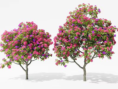 Blooming Shrubs With Pink And Purple Flowers For Garden Landscape Design 3d model