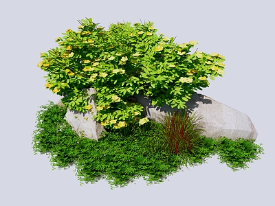 Modern shrubs bushes flowers and plants model