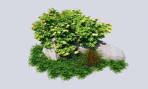 Modern shrubs bushes flowers and plants 3d model