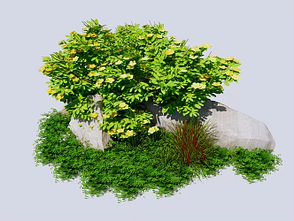 Modern shrubs bushes flowers and plants 3d model