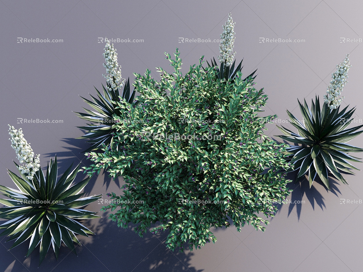 Green Plant Shrubs Flowers and Plants Garden Plants 3d model