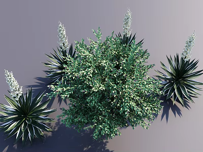 Vibrant Green Shrub As Centerpiece With Agave Plants And White Flower Spikes Against Gray Background 3d model
