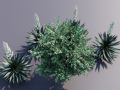 Green Plant Shrubs Flowers and Plants Garden Plants 3d model