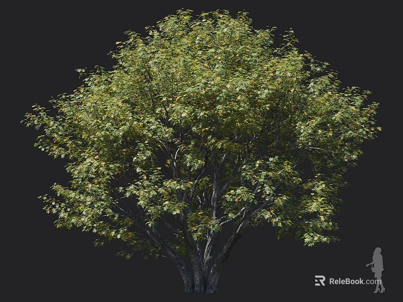 Tall Arbor Featuring Lush Green Leaves Thick Trunk And Human Figure For Scale 3d model 