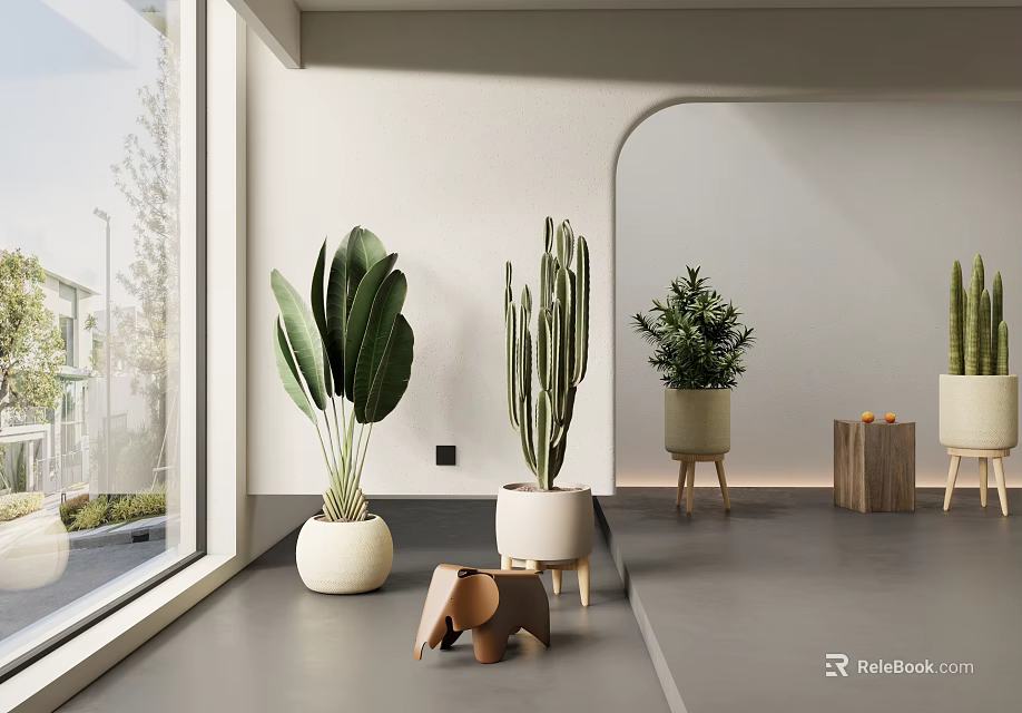 Indoor Bonsai Potted Plants Featuring Large Leafy Cactus Small Greenery in White Wooden Planters 3d model 