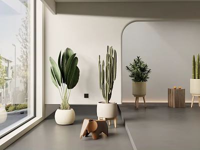 Indoor Bonsai Potted Plants Featuring Large Leafy Cactus Small Greenery in White Wooden Planters 3d model