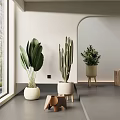 Indoor Bonsai Potted Plants Featuring Large Leafy Cactus Small Greenery in White Wooden Planters