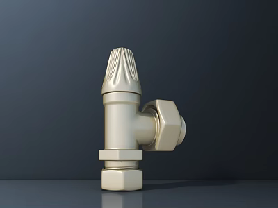 Shiny Brass Valve With Hexagonal Nut Threaded Connection And Knob Design 3d model