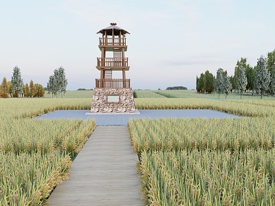 Paddy Field View Tower 3d model