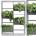 Modern Multi Tiered Metal Shelf With Lush Bonsai Potted Plants And Green Foliage