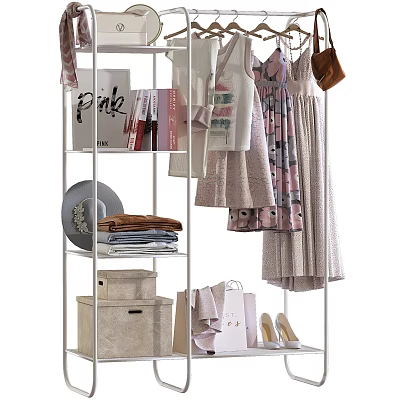 Organized Clothes Rack with Hanging Dresses Books Folded Clothes Boxes Shopping Bags and Shoes 3d model
