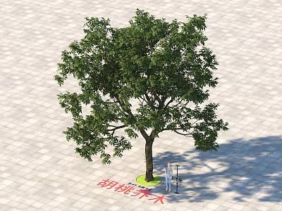 Lush Green Deciduous Tree With Dense Canopy And Brown Trunk On Paved Square Tiles 3d model