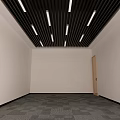 Black Linear Suspended Ceiling With White Strip Lights In Empty Room