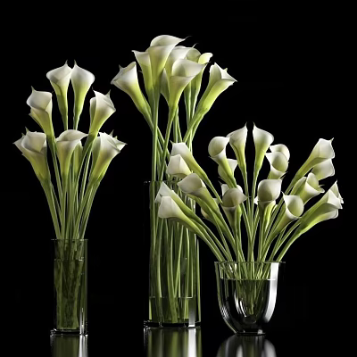 Elegant White Calla Lilies Displayed in Clear Glass Vases on Black Background 3d model