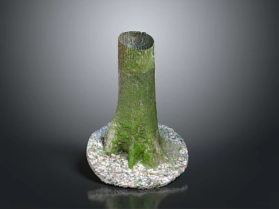 Tree Stump Covered With Green Moss And White Pebbles At The Base 3d model