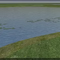 Park Landscape With Lake Water White Reeds Green Grass And Distant Trees