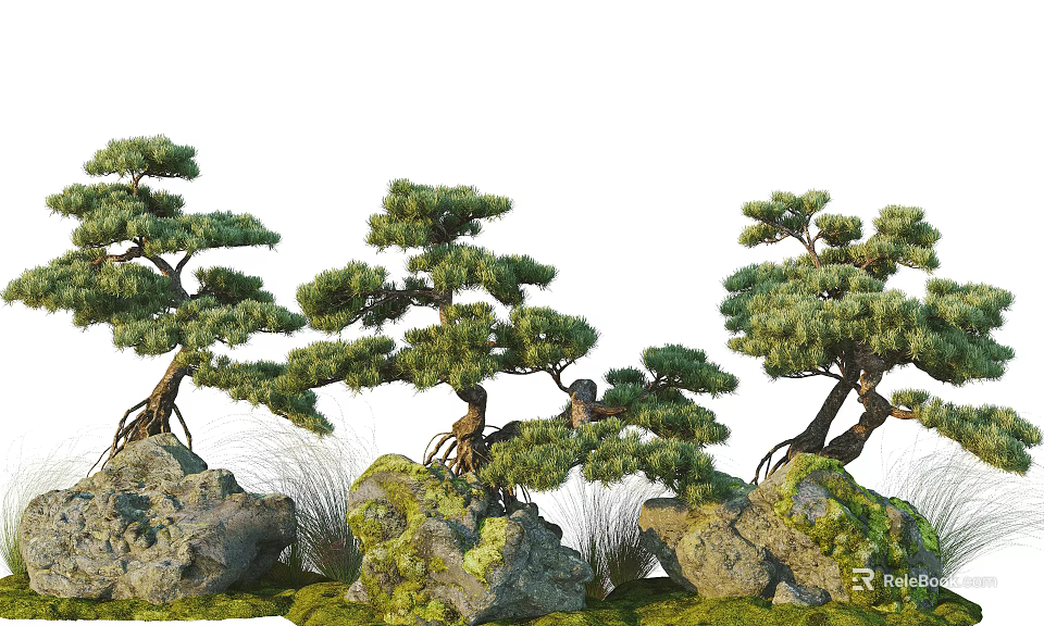 Bonsai Pine Trees With Exposed Roots And Decorative Moss Covered Rocks 3d model 