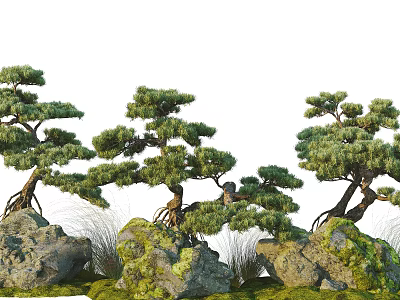 Bonsai Pine Trees With Exposed Roots And Decorative Moss Covered Rocks 3d model