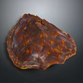 Turtle shell Han turtle shell turtle cartoon turtle snapping turtle hawksbill reptile cold-blooded animal 3d model