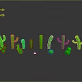 Green Cacti Models In Various Shapes And Sizes On Gray Background With Reflections