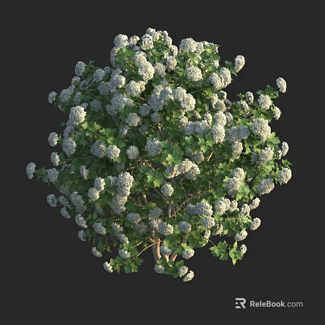 Lush Blooming Shrub with White Flowers and Vibrant Green Foliage in Full Bloom 3d model 