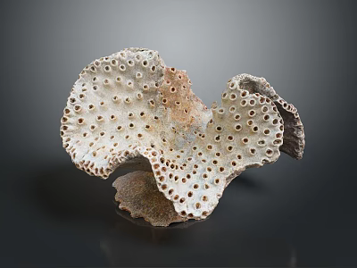 Porous Marine Sponge Animal With Irregular Structure Grayish Brown Color And Small Holes 3d model