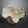 Porous Marine Sponge Animal With Irregular Structure Grayish Brown Color And Small Holes