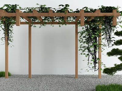 Wooden Pergola Covered With Green Vines Against White Wall Gravel Ground And Trimmed Shrubs 3d model