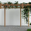 Wooden Pergola Covered With Green Vines Against White Wall Gravel Ground And Trimmed Shrubs
