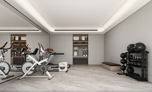 Home Gym Fitness Room 3d model