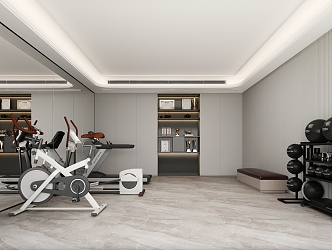 Home Gym Fitness Room 3d model