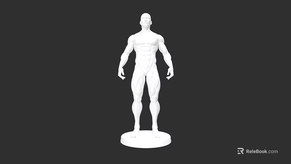 Male Muscular Figure Model With White Sculpture Base And Detailed Physique 3d model 