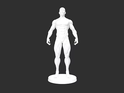 Male Muscular Figure Model With White Sculpture Base And Detailed Physique 3d model