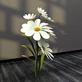 Floral Display With White Daisies In Vase On Dark Wooden Tabletop With Light Shadow Effects