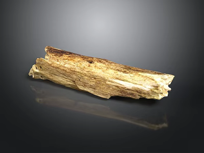 Natural Plant Wood Log With Smooth Texture And Brown Tones On Black Surface 3d model