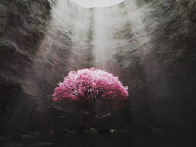 Garden Landscape With Pink Flowering Tree In Cave Setting Overhead Light Rays And Rocky Water 3d model