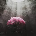 Garden Landscape With Pink Flowering Tree In Cave Setting Overhead Light Rays And Rocky Water