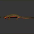 Realistic Brown Salamander With Red Belly And Small Fish On Dark Background 3d model