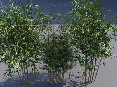 Vertical Green Wall Garden Featuring Lush Bamboo Plants For Indoor Decor 3d model