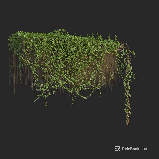 Lush Green Vines Growing On Wooden Frame With Hanging Branches And Dense Foliage 3d model 