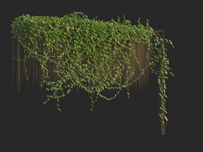 Lush Green Vines Growing On Wooden Frame With Hanging Branches And Dense Foliage 3d model
