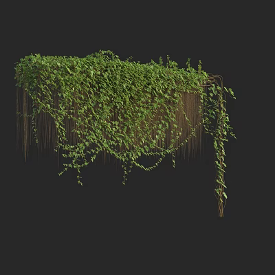 Lush Green Vines Growing On Wooden Frame With Hanging Branches And Dense Foliage 3d model