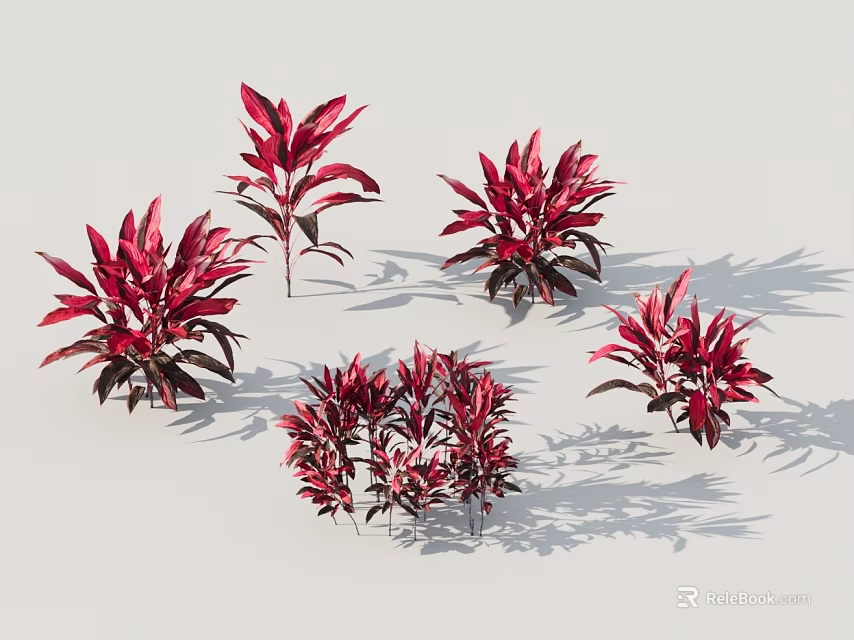 Red Leafy Shrubs In Various Shapes With Vibrant Red Leaves And Shadows On White Background 3d model 