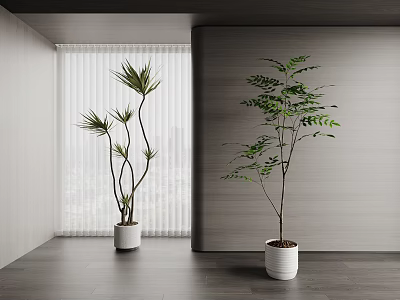 Modern Bonsai Plants in Stylish Interior with White Pots Window Blinds and City View 3d model